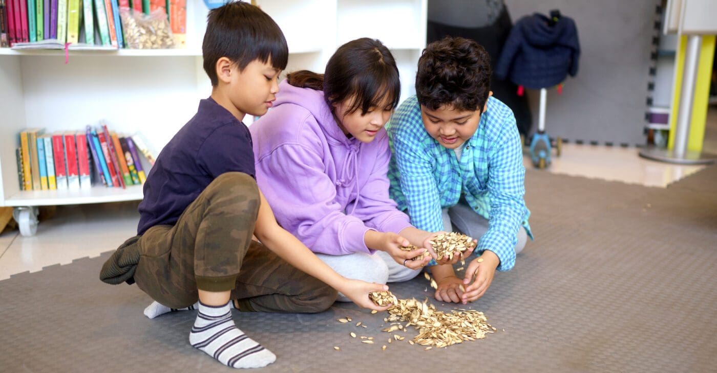 Three young students take part in the Seasons workshop, crouching down together looking at some seeds. They are from the Global Majority and wear colourful, casual clothing
