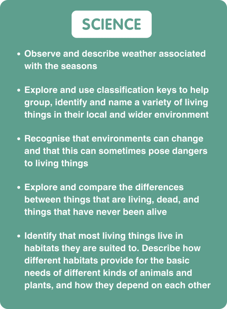 Science:

Observe and describe weather associated with the seasons.

Explore and use classification keys to help group, identify and name a variety of living things in their local and wider environment.

Recognise that environments can change and that this can sometimes pose dangers to living things.

Explore and compare the differences between things that are living, dead, and things that have never been alive.

Identify that most living things live in habitats to which they are suited and describe how different habitats provide for the basic needs of different kinds of animals and plants, and how they depend on each other.